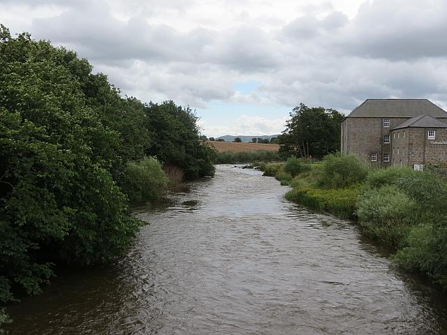IMG 0579