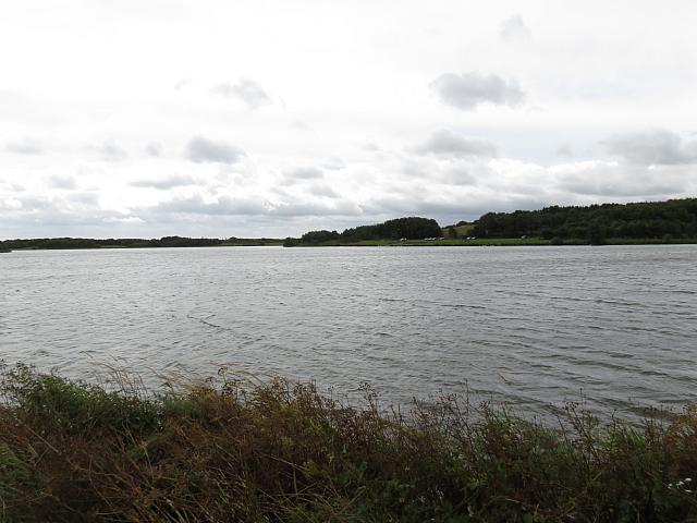 IMG 0597