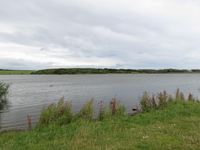IMG 0603