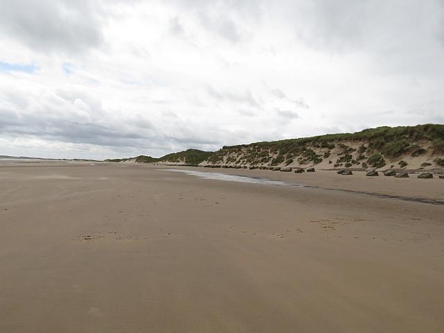 IMG 0609