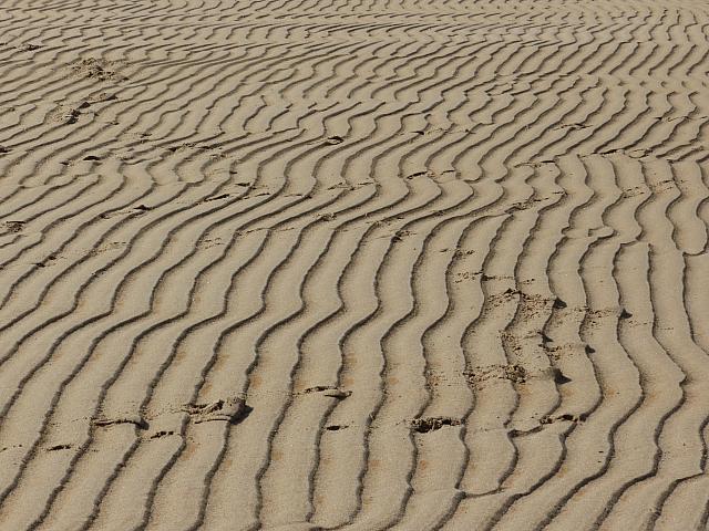 Ripple Patterns
